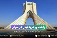 راهنمای خرید نهال در تهران