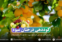 کوددهی درختان میوه ،راهنمای کامل کوددهی انواع نهال میوه + نام کود ها و مقدار استفاده