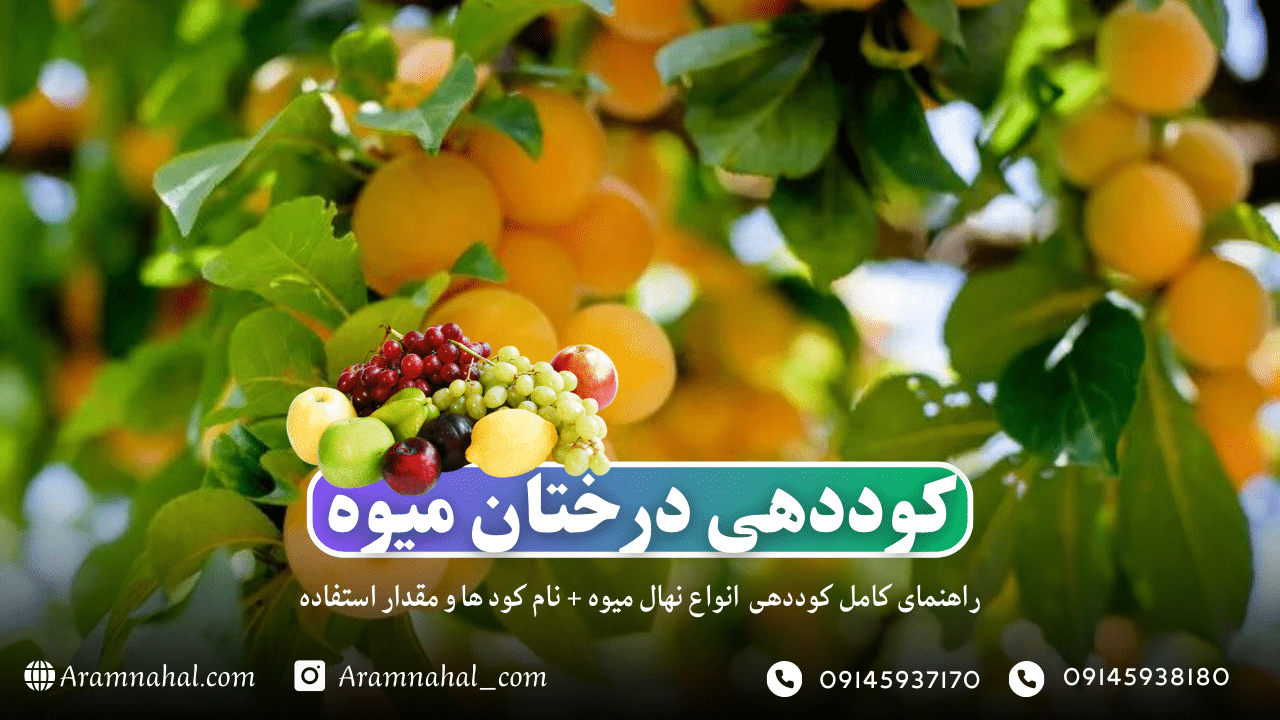 کوددهی درختان میوه ،راهنمای کامل کوددهی انواع نهال میوه + نام کود ها و مقدار استفاده