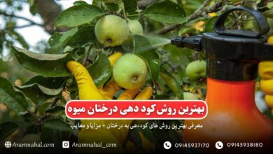 بهترین روش کود دهی درختان میوه