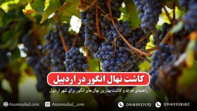 راهنمای خرید و کاشت نهال در اردبیل