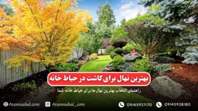 راهنمای جامع انتخاب نهال مناسب برای حیاط خانه