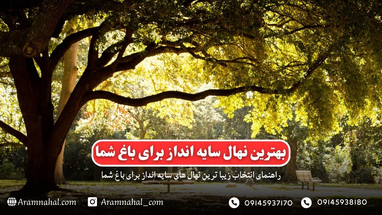 راهنمای جامع انتخاب نهال‌های سایه‌انداز برای باغ‌های ایران