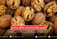 راهنمای جامع خرید نهال گردو برای مناطق سردسیر ایران