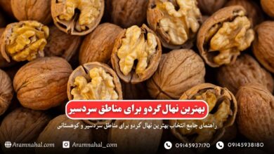 راهنمای جامع خرید نهال گردو برای مناطق سردسیر ایران