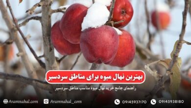 راهنمای خرید نهال میوه مناسب مناطق سردسیر