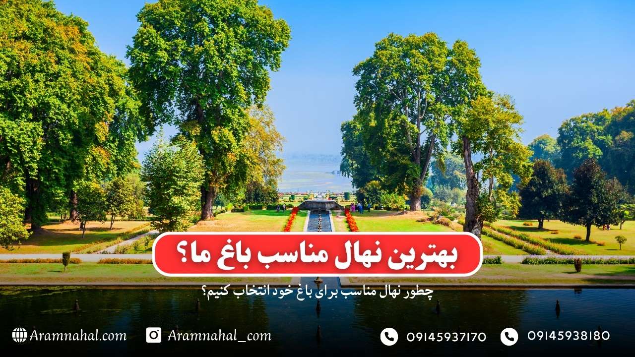 چطور نهال مناسب برای باغ خود انتخاب کنیم؟