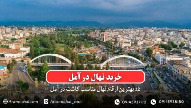 خرید نهال در آمل - 12 بهترین نهال مناسب کاشت در آمل