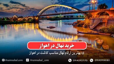 خرید نهال در اهواز- 12 بهترین نهال مناسب کاشت در اهواز