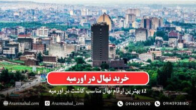 خرید نهال در اورمیه - 12 بهترین نهال مناسب کاشت در اورمیه