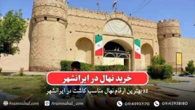 خرید نهال در ایرانشهر - 12 بهترین نهال مناسب کاشت در ایرانشهر