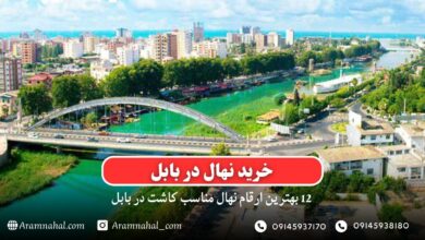 خرید نهال در بابل- 12 بهترین نهال مناسب کاشت در بابل