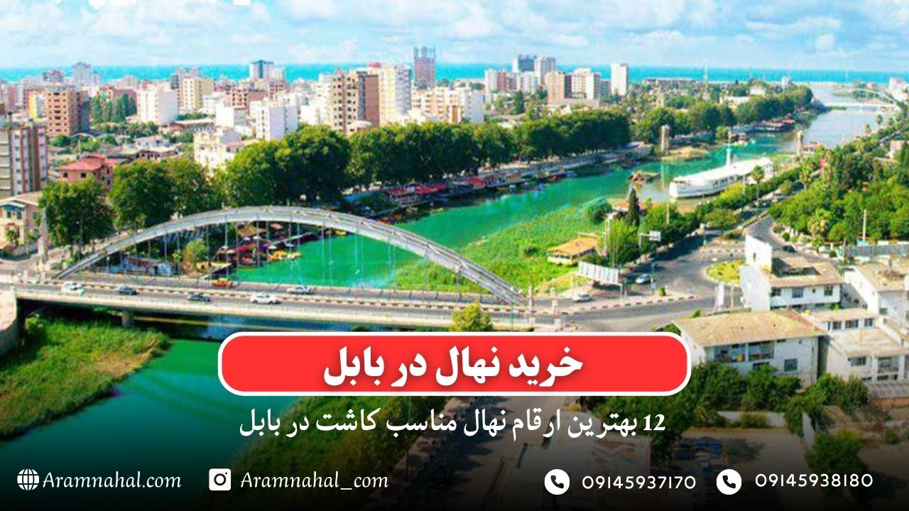 خرید نهال در بابل- 12 بهترین نهال مناسب کاشت در بابل
