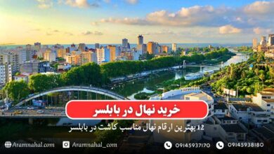 خرید نهال در بابلسر - 12 بهترین نهال مناسب کاشت در بابلسر