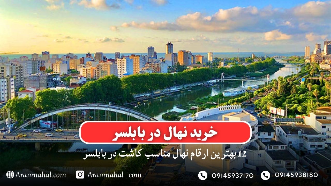 خرید نهال در بابلسر - 12 بهترین نهال مناسب کاشت در بابلسر