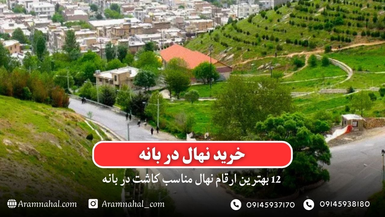 خرید نهال در بانه - 12 بهترین نهال مناسب کاشت در بانه