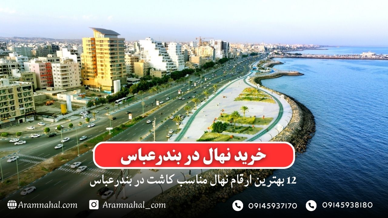 خرید نهال در بندرعباس- 12 بهترین نهال مناسب کاشت در بندر عباس