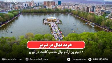 خرید نهال در تبریز - 12 بهترین نهال مناسب کاشت در تبریز