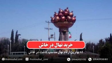خرید نهال در خاش - 12 بهترین نهال مناسب کاشت در خاش