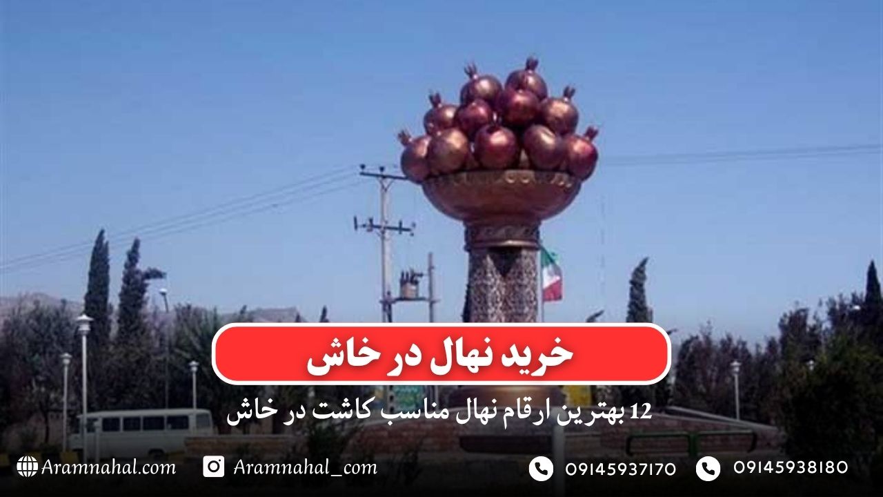 خرید نهال در خاش - 12 بهترین نهال مناسب کاشت در خاش