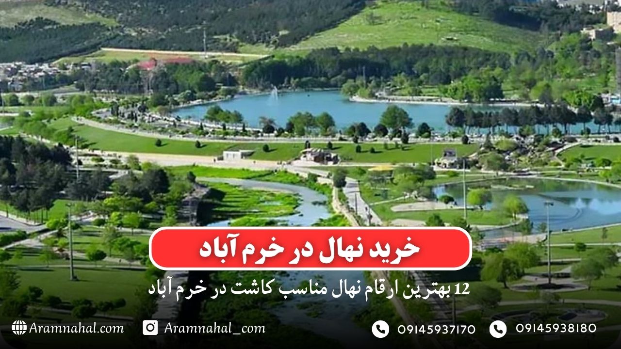خرید نهال در خرم آباد - 12 بهترین نهال مناسب کاشت در خرم آباد