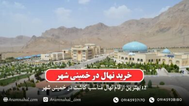 خرید نهال در خمینی شهر- 12 بهترین نهال مناسب کاشت در خمینی شهر