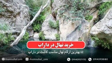 خرید نهال در داراب - 12 بهترین نهال مناسب کاشت در داراب