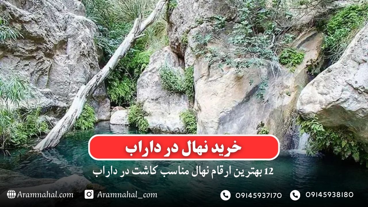 خرید نهال در داراب - 12 بهترین نهال مناسب کاشت در داراب
