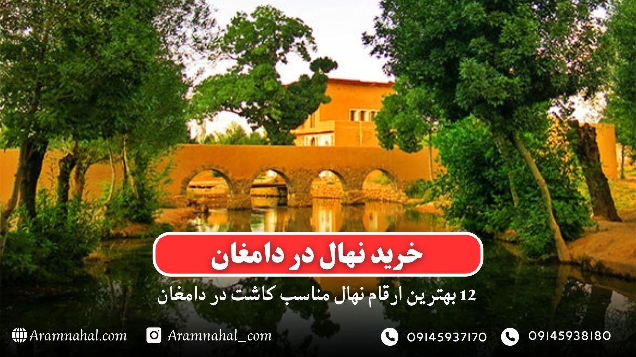 خرید نهال در دامغان - 12 بهترین نهال مناسب کاشت در دامغان