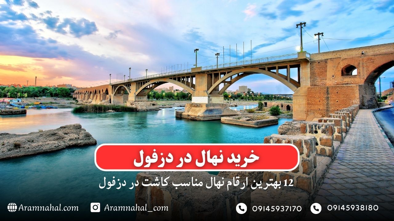 خرید نهال در دزفول - 12 بهترین نهال مناسب کاشت در دزفول