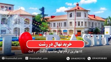 خرید نهال در رشت - 12 بهترین نهال مناسب کاشت در رشت