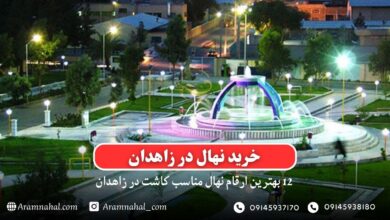 خرید نهال در زاهدان - 12 بهترین نهال مناسب کاشت در زاهدان