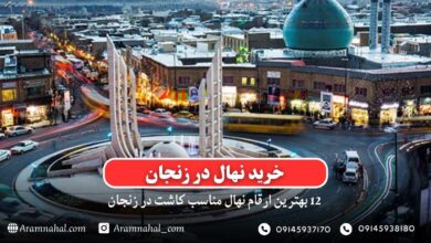 خرید نهال در زنجان - 12 بهترین نهال مناسب کاشت در زنجان