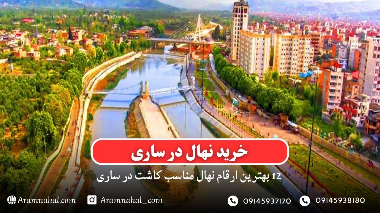 خرید نهال در ساری - 12 بهترین نهال مناسب کاشت در ساری
