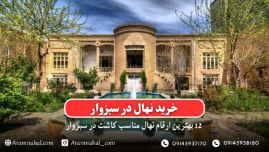 خرید نهال در سبزوار- 12 بهترین نهال مناسب کاشت در سبزوار