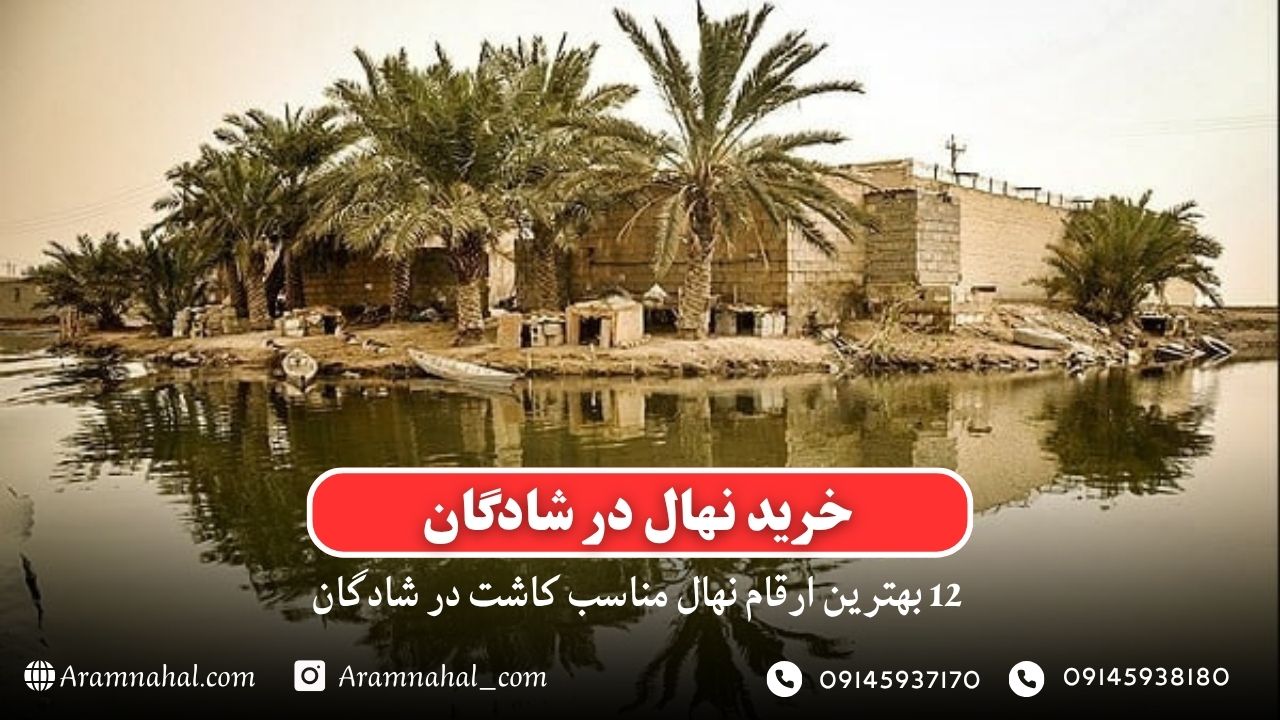 خرید نهال در شادگان- 12 بهترین نهال مناسب کاشت در شادگان