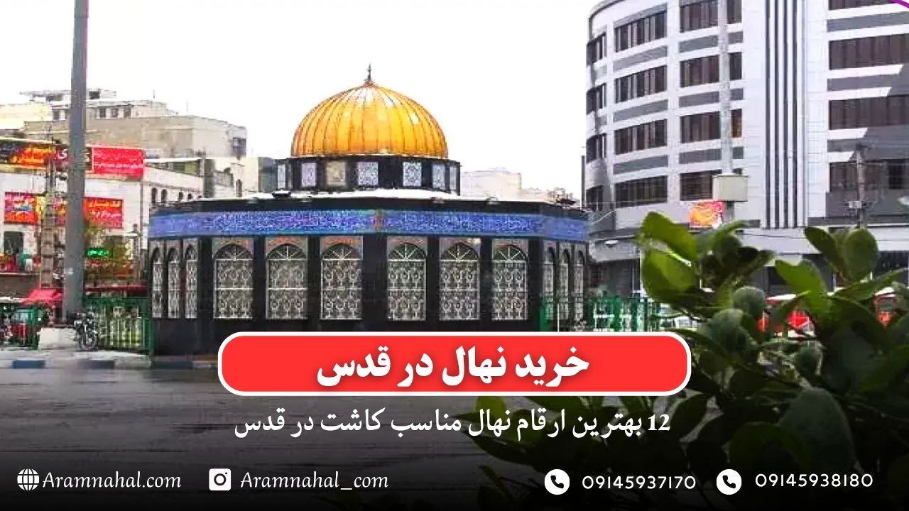 خرید نهال در قدس - 12 بهترین نهال مناسب کاشت در قدس