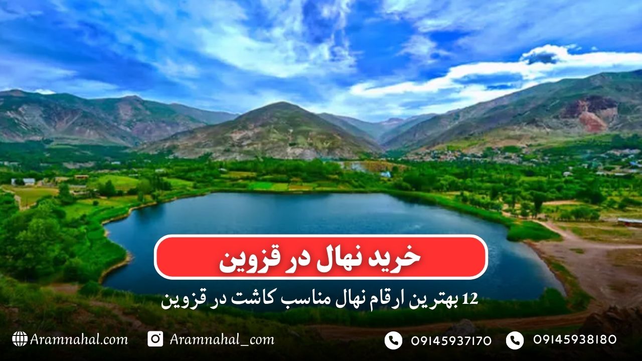 خرید نهال در قزوین - 12 بهترین نهال مناسب کاشت در قزوین