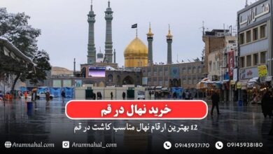 خرید نهال در قم - 12 بهترین نهال مناسب کاشت در قم