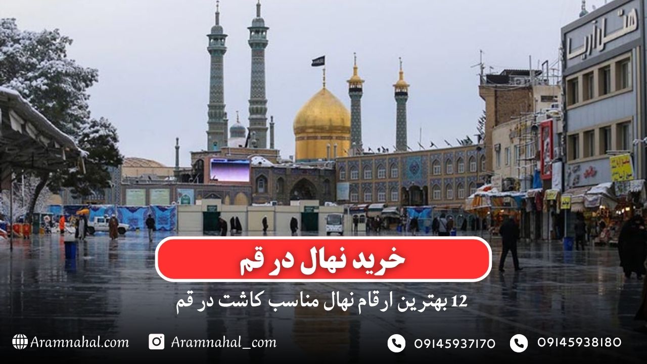 خرید نهال در قم - 12 بهترین نهال مناسب کاشت در قم