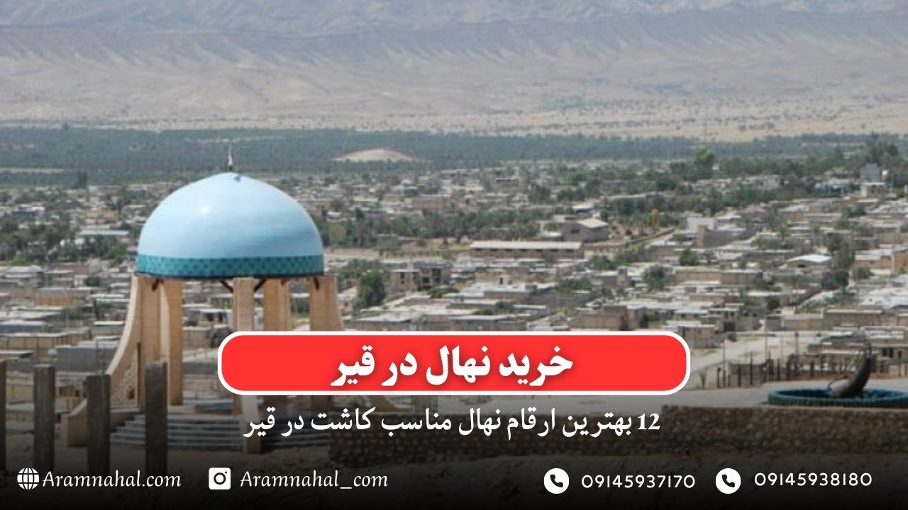 خرید نهال در قیر- 12 بهترین نهال مناسب کاشت در قیر
