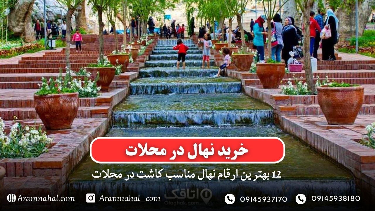 خرید نهال در محلات - 12 بهترین نهال مناسب کاشت در محلات