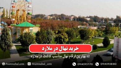 خرید نهال در ملارد - 12 بهترین نهال مناسب کاشت در ملارد