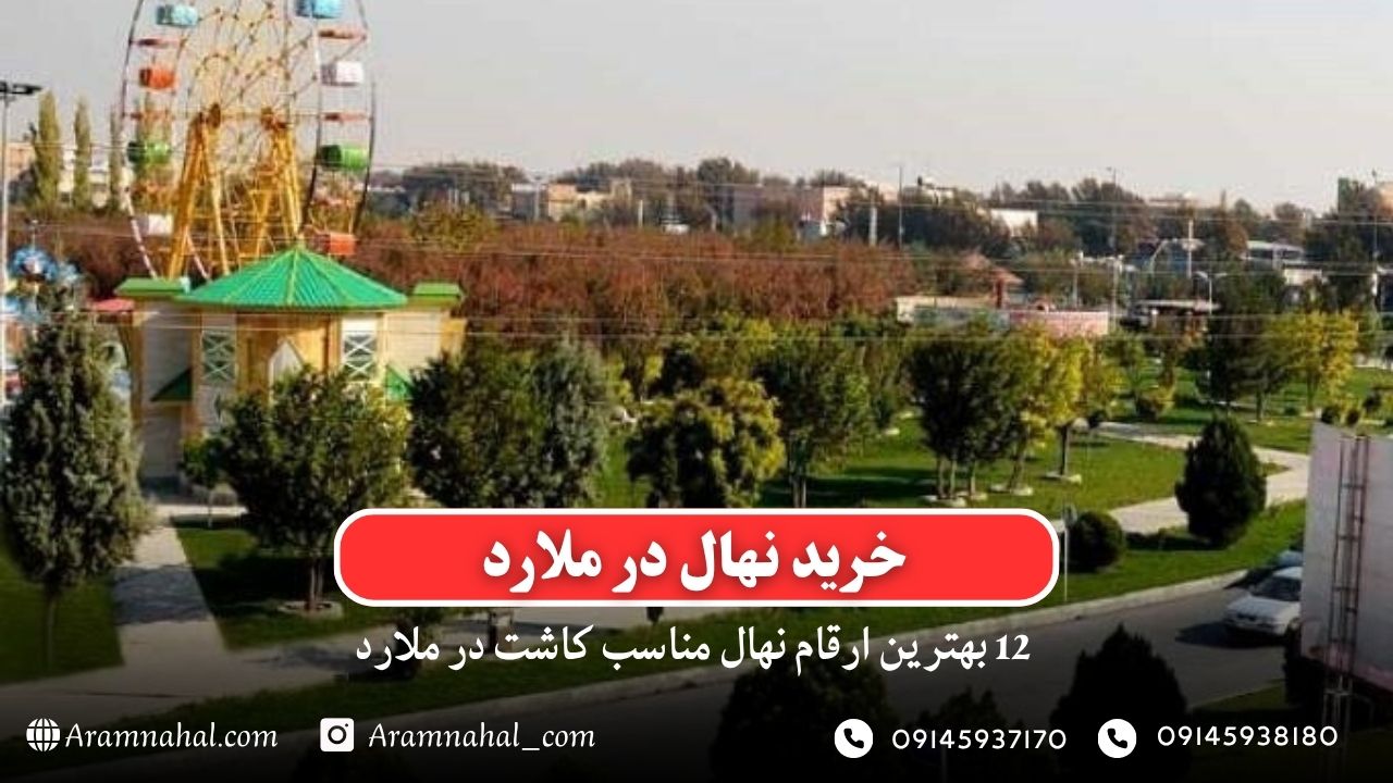خرید نهال در ملارد - 12 بهترین نهال مناسب کاشت در ملارد