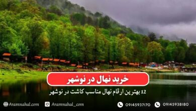 خرید نهال در نوشهر- 12 بهترین نهال مناسب کاشت در نوشهر