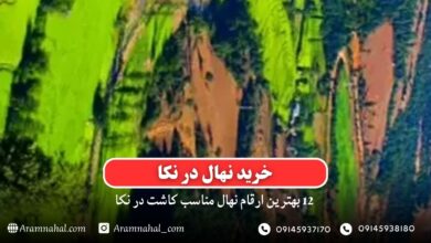 خرید نهال در نکا - 12 بهترین نهال مناسب کاشت در نکا