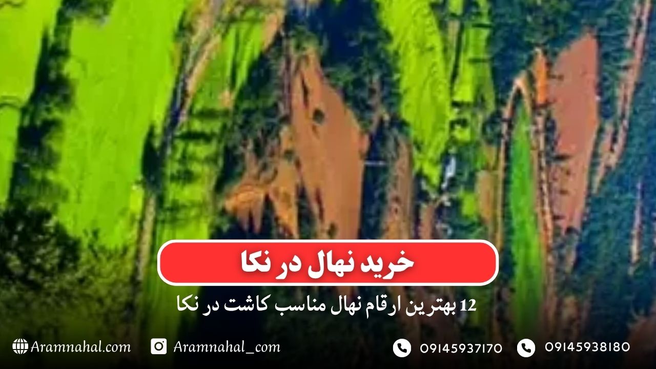 خرید نهال در نکا - 12 بهترین نهال مناسب کاشت در نکا