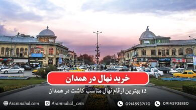 خرید نهال در همدان - 12 بهترین نهال مناسب کاشت در همدان