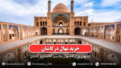 خرید نهال در کاشان - 12 بهترین نهال مناسب کاشت در کاشان