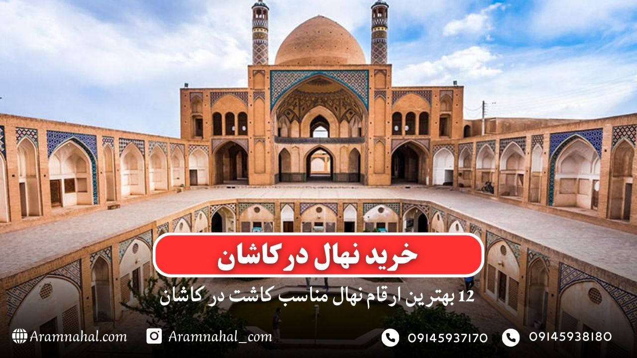 خرید نهال در کاشان - 12 بهترین نهال مناسب کاشت در کاشان